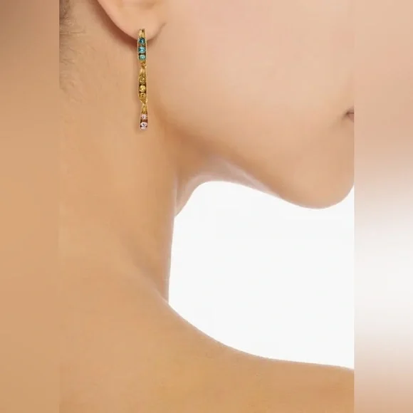 Stunning Multicolor Crystal Oscar De La Renta Earrings - Picture 2 of 7